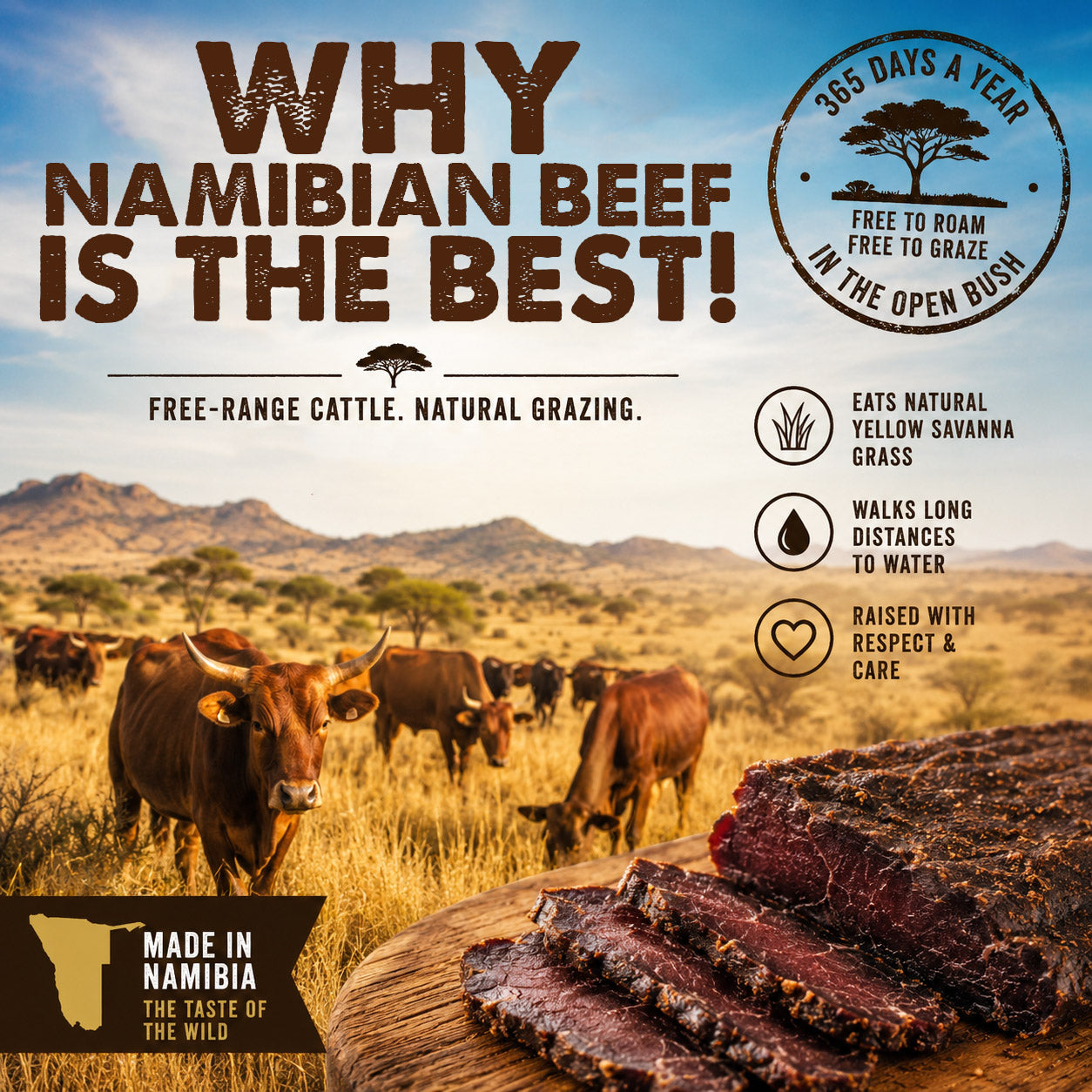 Why Namibian Free-Range Beef is the Best